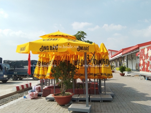 Dù che nắng cho chuỗi cafe Ông Bầu
